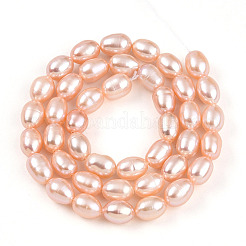 Natural Cultured Freshwater Pearl Beads Strands&nbsp;PEAR-N012-AA-02