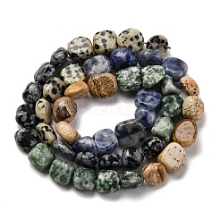 Natural Dalmatian Jasper & Blue Spot Jasper & Green Spot Jasper & Snowflake Obsidian & Picture Jasper Beads Strands&nbsp;G-L610-B11-01