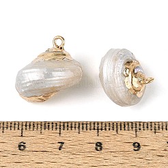 電気メッキナチュラルスパイラルシェルペンダント  金色の鉄製ループが付いた巻き貝チャーム  貝殻色  13~19x10~15x13~18mm  穴：1.5~1.8mm&nbsp;SSHEL-N042-04