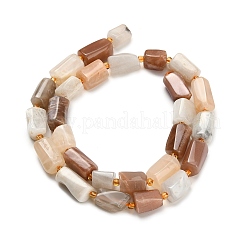 Natural Multi-Moonstone Beads Strands&nbsp;G-H329-A01-01