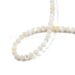 Natural White Shell Bead Strands&nbsp;SSHEL-N003-144C-01