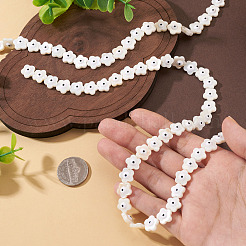 2 Strands Natural Freshwater Shell Beads Strands&nbsp;SHEL-TA0001-45