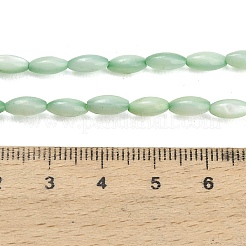 Natural Freshwater Shell Beads Strands&nbsp;SHEL-C010-01A
