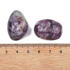 Natural Lepidolite Beads&nbsp;G-G348-01A-18