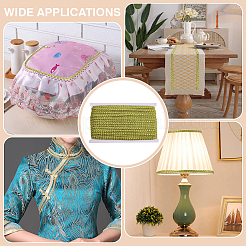Metallic Polyester Braided Lace Trim&nbsp;OCOR-WH0108-20B