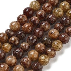 Natural Gemstone Beads Strands&nbsp;G-H045-A01-10MM