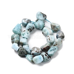 Natural Larimar Beads Strands&nbsp;G-B161-B10