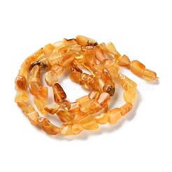 Natural Amber Beads Strands&nbsp;G-P497-01C-04