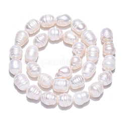 天然養殖淡水パールビーズ連売り  ライス  貝殻色  8~14x8.5~10mm  穴：0.6mm  約31~34個/連  13.58~14.06インチ（34.5~35.7cm）&nbsp;PEAR-N012-09E