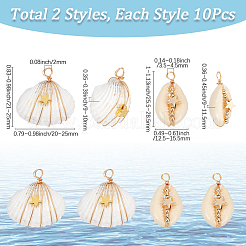 20Pcs 2 Styles Natural Cowrie Shell/Spiral Shell Copper Wire Wrapped Pendants&nbsp;FIND-SC0014-25