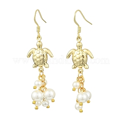 304 Stainless Steel Pendant Dangle Earrings&nbsp;EJEW-JE07232