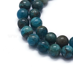 Natural Apatite Beads Strands&nbsp;G-F591-01