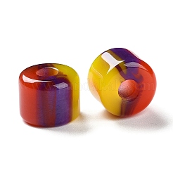 レジンヨーロピアンビーズ  大穴ビーズ  コラム  カラフル  13.5~14x17~17.5x17~17.5mm  穴：6mm&nbsp;RESI-U009-01A-03
