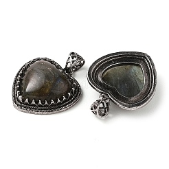 Natural Labradorite Pendants&nbsp;G-A095-01AS-01