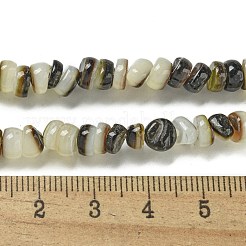 天然ブラックリップシェルビーズ連売り  ナゲット  1.5~6x3.5~6x3.5~6mm  穴：0.5mm  約110個/連  15.08''（38.3センチメートル）&nbsp;BSHE-G039-02