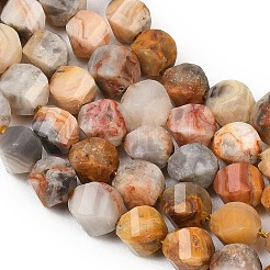 Natural Crazy Agate Beads Strands&nbsp;G-P611-C06-01