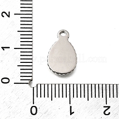 304 Stainless Steel Pendants&nbsp;STAS-Z163-14P