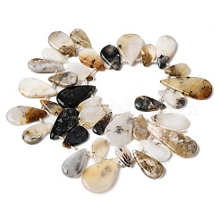 天然のアフリカオパールビーズ連売り  フラットティアドロップ  トップ掘削  17~38x8~21x3~5mm  穴：1.5mm  約35個/連  15.35''（39cm）〜16.14''（41cm）&nbsp;G-D365-B01