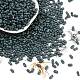 Baking Paint Glass Seed Beads&nbsp;SEED-L011-09A-23-1