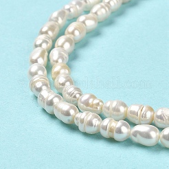 天然養殖淡水パールビーズ連売り  ライス  グレードA  古いレース  5.5~6x4~4.5mm  穴：0.5mm  約62個/連  14.06''（35.7センチメートル）&nbsp;PEAR-E016-164