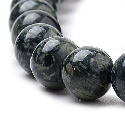Natural Kambaba Jasper Beads Strands&nbsp;G-Q481-103