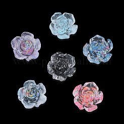 Transparent Resin Cabochons&nbsp;CRES-N030-014