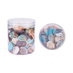 染め天然シェルビーズ  ミックスカラー  32~37x20~29x8~10mm  穴：1mm  約100~120個/箱&nbsp;BSHE-PH0003-02