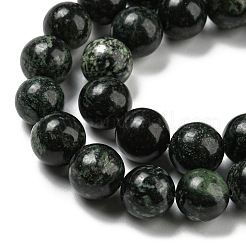 Natural Serpentine Beads Strands&nbsp;G-P504-10mm-01