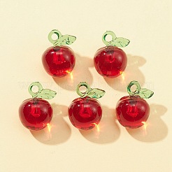 Transparent Korea Acrylic Pendants&nbsp;OACR-FS0001-43