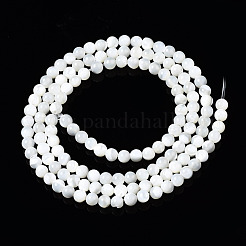 Natural Trochid Shell/Trochus Shell Beads Strands&nbsp;SSHEL-S266-023A-01