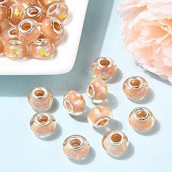 Drawbench Resin European Large Hole Beads&nbsp;DACR-S011-08