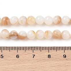 Natural Freshwater Shell Beads Strands&nbsp;SHEL-T011-02-6mm