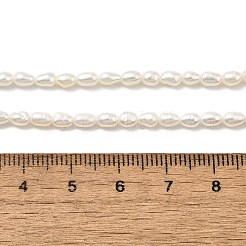 天然養殖淡水パールビーズ連売り  ライス  グレード6 A  ホワイト  2.8~3.2mm  穴：0.5mm  約70~71個/連  13.98''（35.5センチメートル）&nbsp;PEAR-I007-01L-04