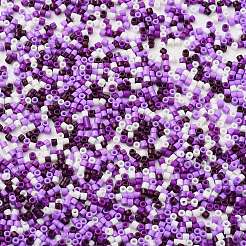 Baking Paint Glass Seed Beads&nbsp;X-SEED-S042-05B-53