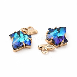 Brass with K9 Glass Charms&nbsp;KK-B071-14G