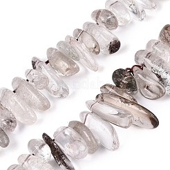 Natural Green Lodolite Quartz/Garden Quartz/Green Phantom Quartz Beads Strands&nbsp;G-N362-16A-01