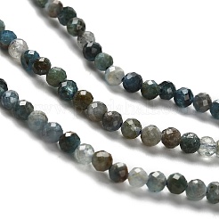Natural Apatite Beads Strands&nbsp;LS-G-RM2025-A18-3mm-A