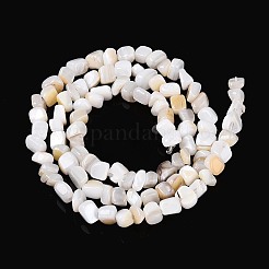 Natural Freshwater Shell Beads Strands&nbsp;SHEL-N037-04K