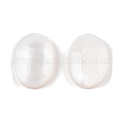 Natural Freshwater Shell Cabochons&nbsp;SHEL-T020-04