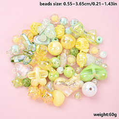 60g2色アクリルビーズ  混合図形  ミックスカラー  7~36.5x7~36.5x5.5~36.5mm  穴：1.8~4.5mm  約18個/30g  30 G /カラー&nbsp;MACR-YW0003-36B