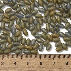 Transparent Colours Glass Seed Beads&nbsp;SEED-F006-03A-05