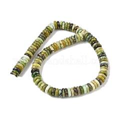 Natural Serpentine Beads Strands&nbsp;G-B155-B08-4x10mm