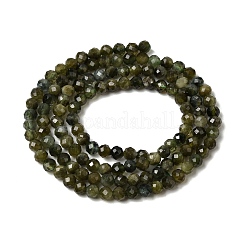 Natural Green Tourmaline Beads Strands&nbsp;X-G-L653-B03-3mm