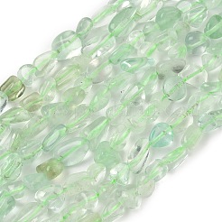 天然のグリーンフローライトビーズ連売り  ナゲット  タンブルストーン  グリーン  4~13x6~8x3~5mm  穴：0.9mm  約51~55個/連  15.35''（39cm）〜15.94''（40.5cm）&nbsp;G-D339-A02