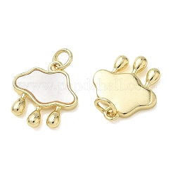 Brass Shell Charms&nbsp;KK-T085-04G