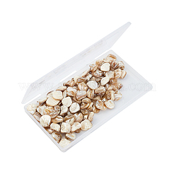 天然淡水シェルビーズ  チップ  ライトカーキ  18~22x15~21x7.5~10mm  穴：0.8mm  250 G /ボックス&nbsp;SSHEL-CA0001-01