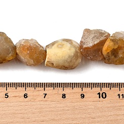Natural Botswana Agate Beads Strands&nbsp;G-S386-C10