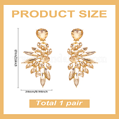 1 Pair Resin Wing Dangle Stud Earrings&nbsp;EJEW-LP0001-23A