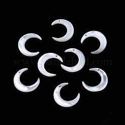 天然淡水シェルチャーム  ムーン  12x10.5x2.5mm  穴：0.7mm&nbsp;SSHEL-N032-55A