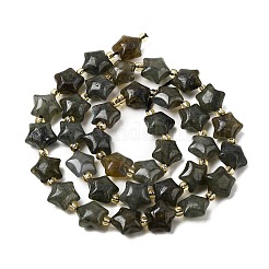 Natural Labradorite Beads Strands&nbsp;G-Z080-A33-10mm